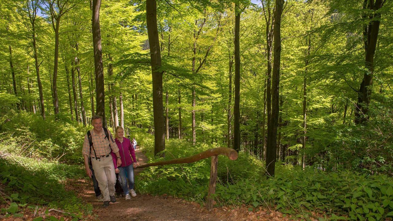 Landgasthof Seemer Eslohe Zewnętrze zdjęcie